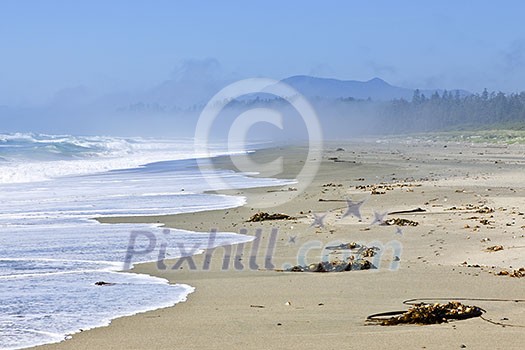 Long Beach in Pacific Rim National park, Canada Long Beach in Pacific Rim National park, Canada