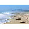 Long Beach in Pacific Rim National park, Canada