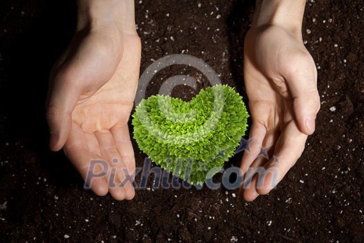 Human hands holding in palms green love heart Human hands holding in palms green love heart