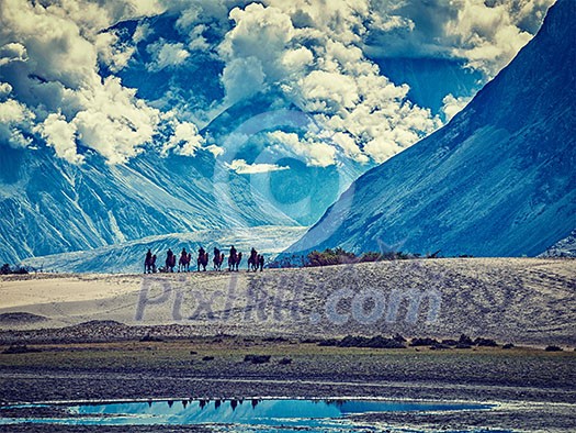 Vintage retro effect filtered hipster style image of Tourists riding camels in Nubra valley in Himalayas, Ladakh