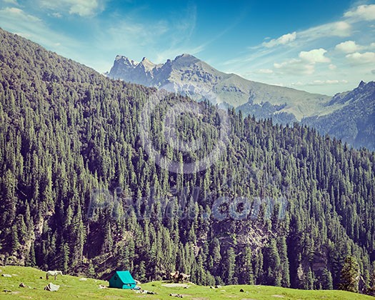 Hiking trekking outdoors - vintage retro effect filtered hipster style image of camp tent in Himalayas mountains