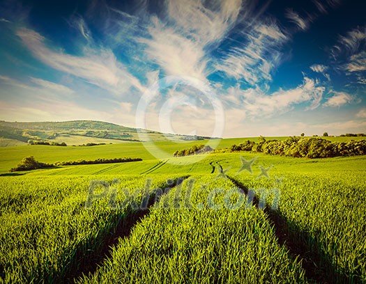 Vintage retro effect filtered hipster style image of green fields of Moravia, Czech Republic