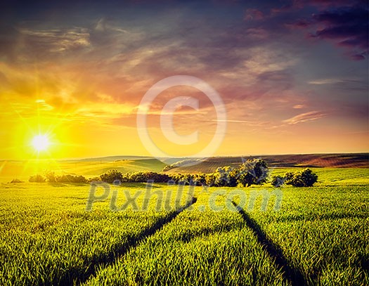 Vintage retro effect filtered hipster style image of dramatic sunset in fields of Moravia, Czech Republic