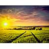 Vintage retro effect filtered hipster style image of dramatic sunset in fields of Moravia, Czech Republic