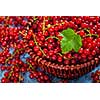 Redcurrant red currant berries  in wicker bowl on kitchen table