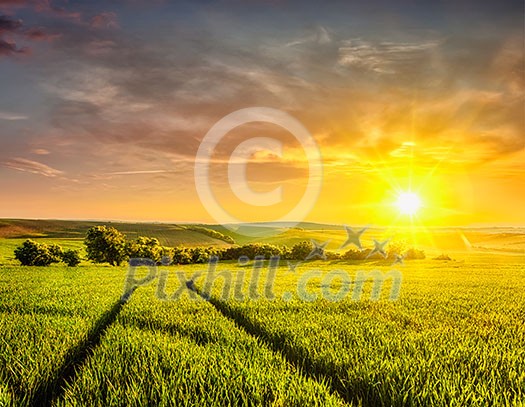 Beuatiful sunset in fields of Moravia, Czech Republic