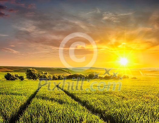 Beuatiful sunset in fields of Moravia, Czech Republic Beuatiful sunset in fields of Moravia, Czech Republic