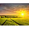Beuatiful sunset in fields of Moravia, Czech Republic