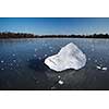 Freezing winter temperatures: block of ice lying on the surface of a frozen pond on a sunny winter day