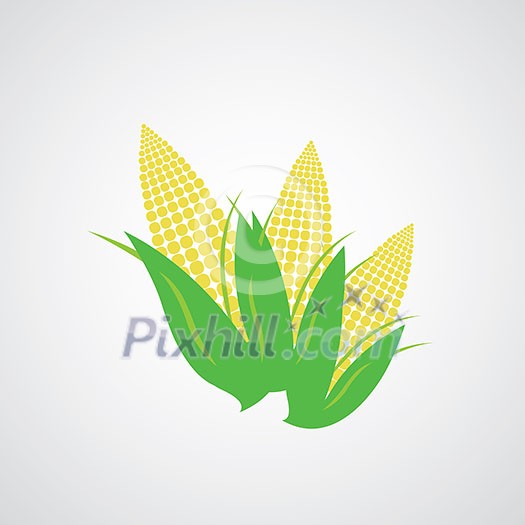 vector corn on the cob vector corn on the cob