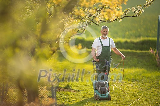 Senior man mowing the lawn in his garden (selective focus; shallow DOF)