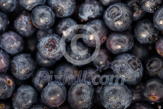 Fresh, ripe blueberries