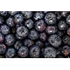 Fresh, ripe blueberries