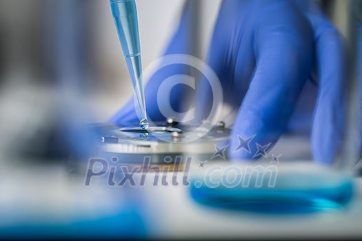 Hands of a researcher carrying out scientific research in a lab Hands of a researcher carrying out scientific research in a lab