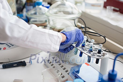 Young female scientist works in modern chemistry/biology lab (shallow DOF; color toned image) Young female scientist works in modern chemistry/biology lab (shallow DOF; color toned image)
