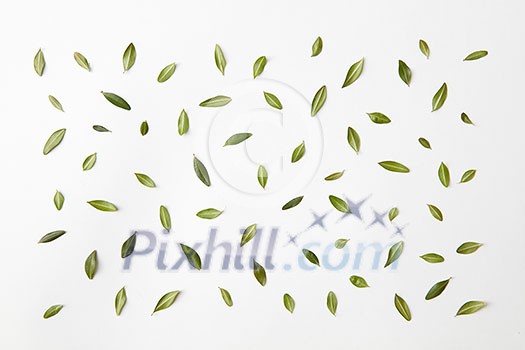 background of green leaves natural background, flat lay.