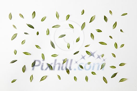 background of green leaves natural background, flat lay. background of green leaves natural background, flat lay.