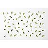 background of green leaves natural background, flat lay.