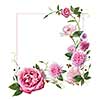 frame with pink flowers, leaves and petals isolated on white background. top view, flat lay