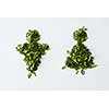Male and female concept. Man and woman signs made of green leaves and represented over white background.