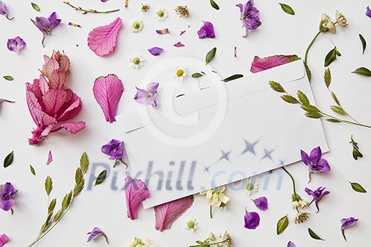 frame pattern with flower buds, branches and leaves isolated on white background with paper copy space. flat lay,