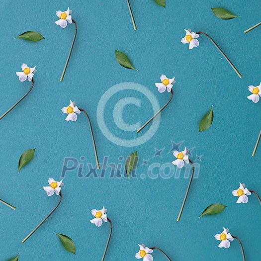 Top view of white flowers represented with green leaves isolated on navy blue background. Frame of flowers and green leaves.