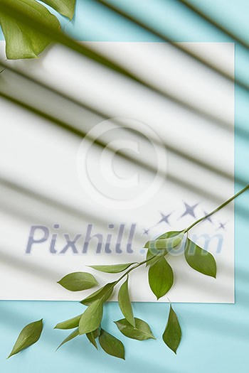 Vertical frame on a blue background decorated with leaves in the corners. Thin stripes of leaves superimposed on the background flat lay