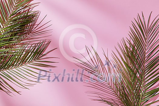 Composition with leaves in a border corner, on a pink horizontal background with space for text, flat lay Composition with leaves in a border corner, on a pink horizontal background with space for text, flat lay