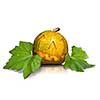 halloween pumpkin with leaves isolated on white