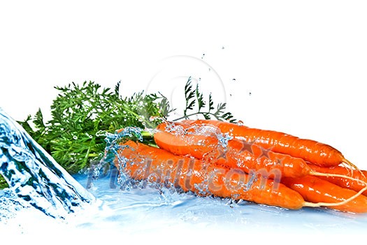 fresh water splash on carrot with leaves isolated on white