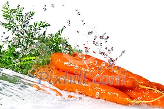 fresh water splash on carrot isolated on white