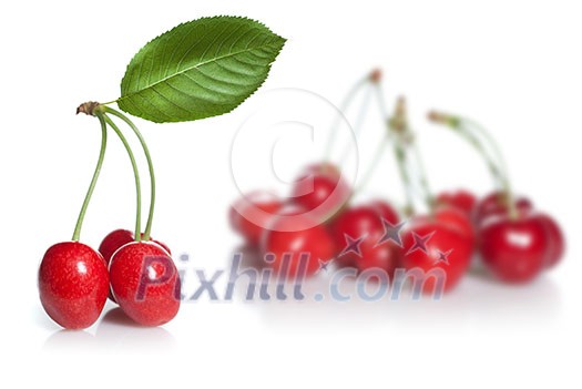 red cherry with leaves isolated on white