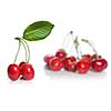 red cherry with leaves isolated on white