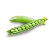 peas isolated on white