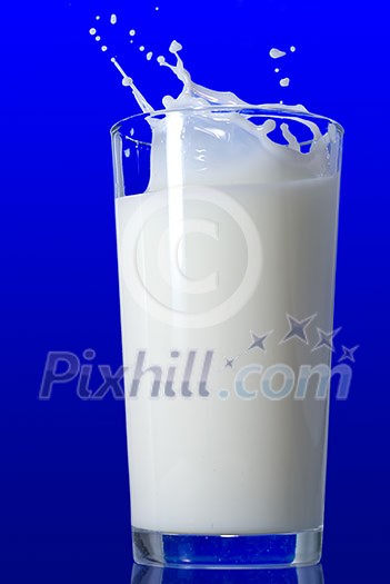 Milk splash isolated on blue