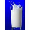 Milk splash isolated on blue