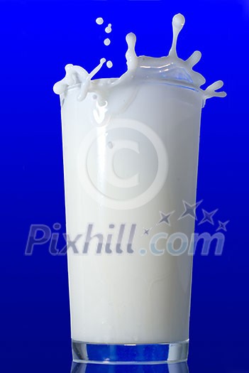 Milk splash isolated on blue Milk splash isolated on blue
