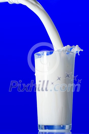 Milk splash isolated on blue Milk splash isolated on blue