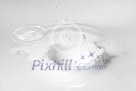 Milk splash Milk splash