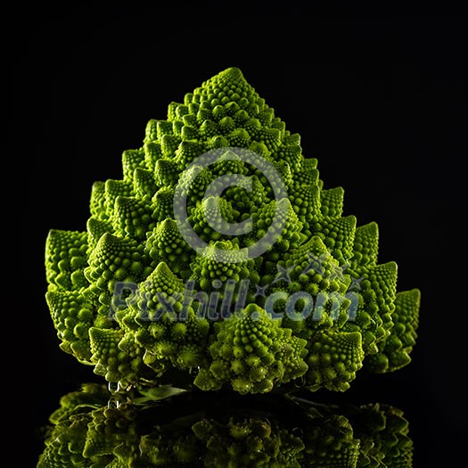 Fresh Romanesco cabbage on black background