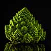 Fresh Romanesco cabbage on black background