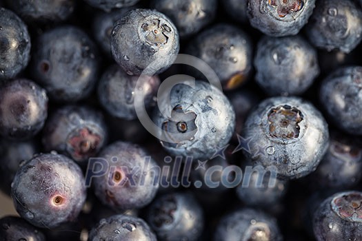 Fresh, ripe blueberries