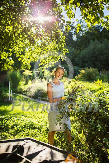 Pretty, young woman gardening in her garden, cutting branches, preparing the orchard for the winter