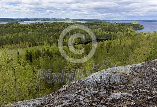 Early summer mountain landscape Early summer mountain landscape