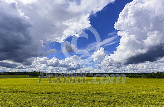 Rural landscape on cloudy day
