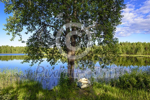 Rowing boat under tree in calm weather Rowing boat under tree in calm weather