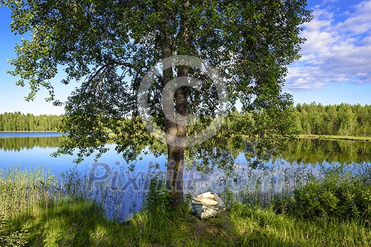 Rowing boat under tree in calm weather