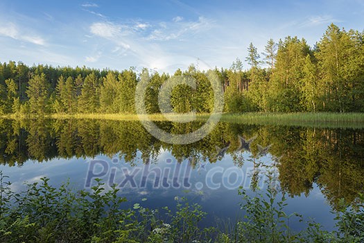 Calm summer evening by the lake