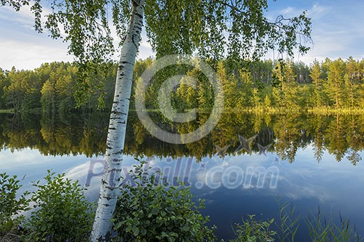 Calm summer evening by the lake