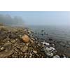 Foggy lake scenery in september